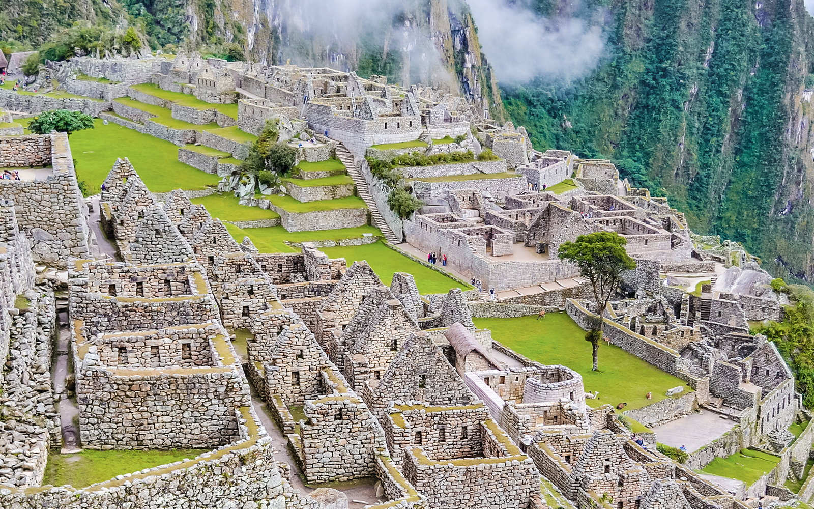 Machu Picchu ruins with terraced stone structures and lush greenery, Peru.