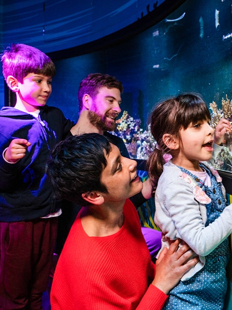 Family observing coral reef exhibit at SEA LIFE London.