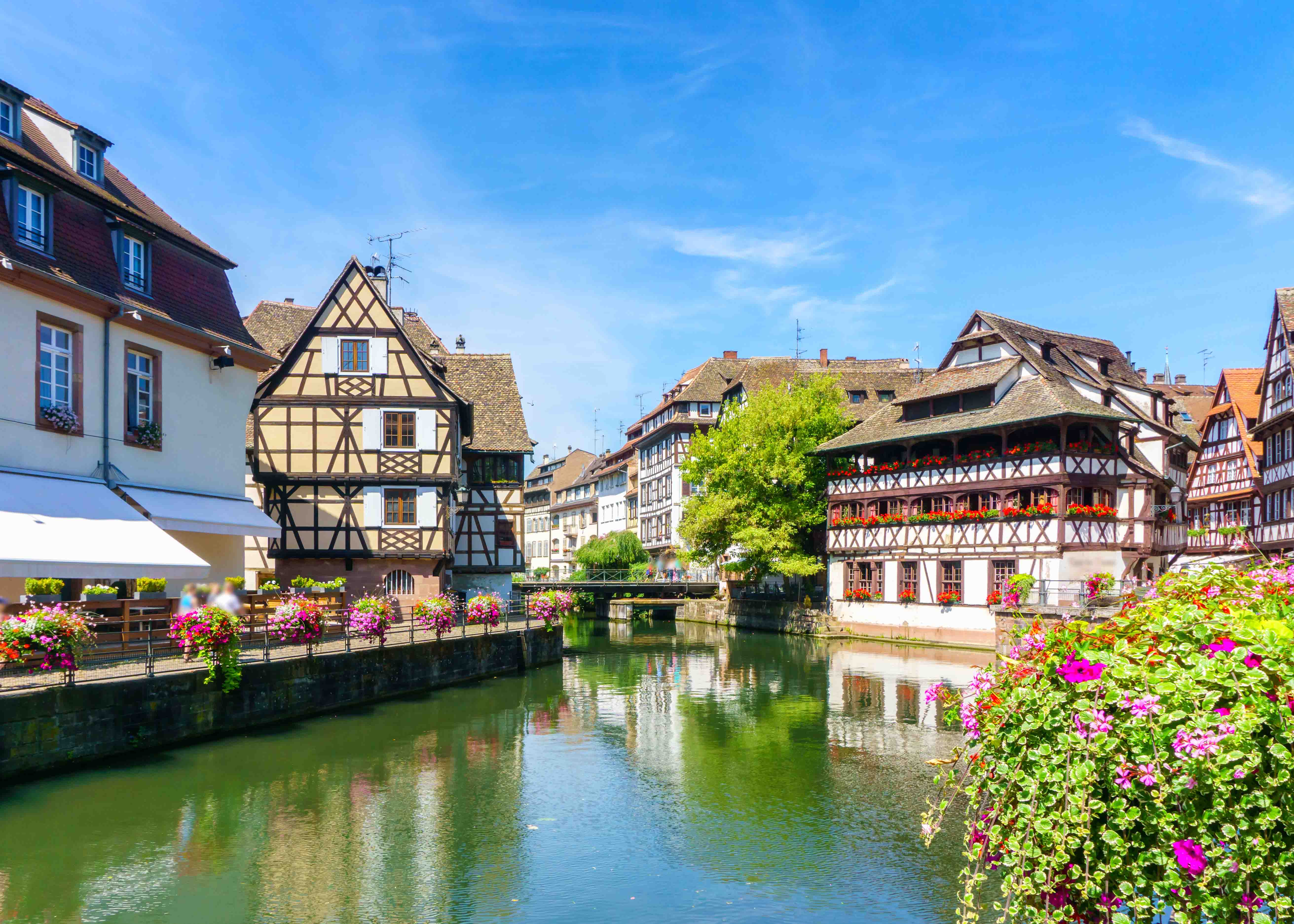 Valentine's Day in Paris