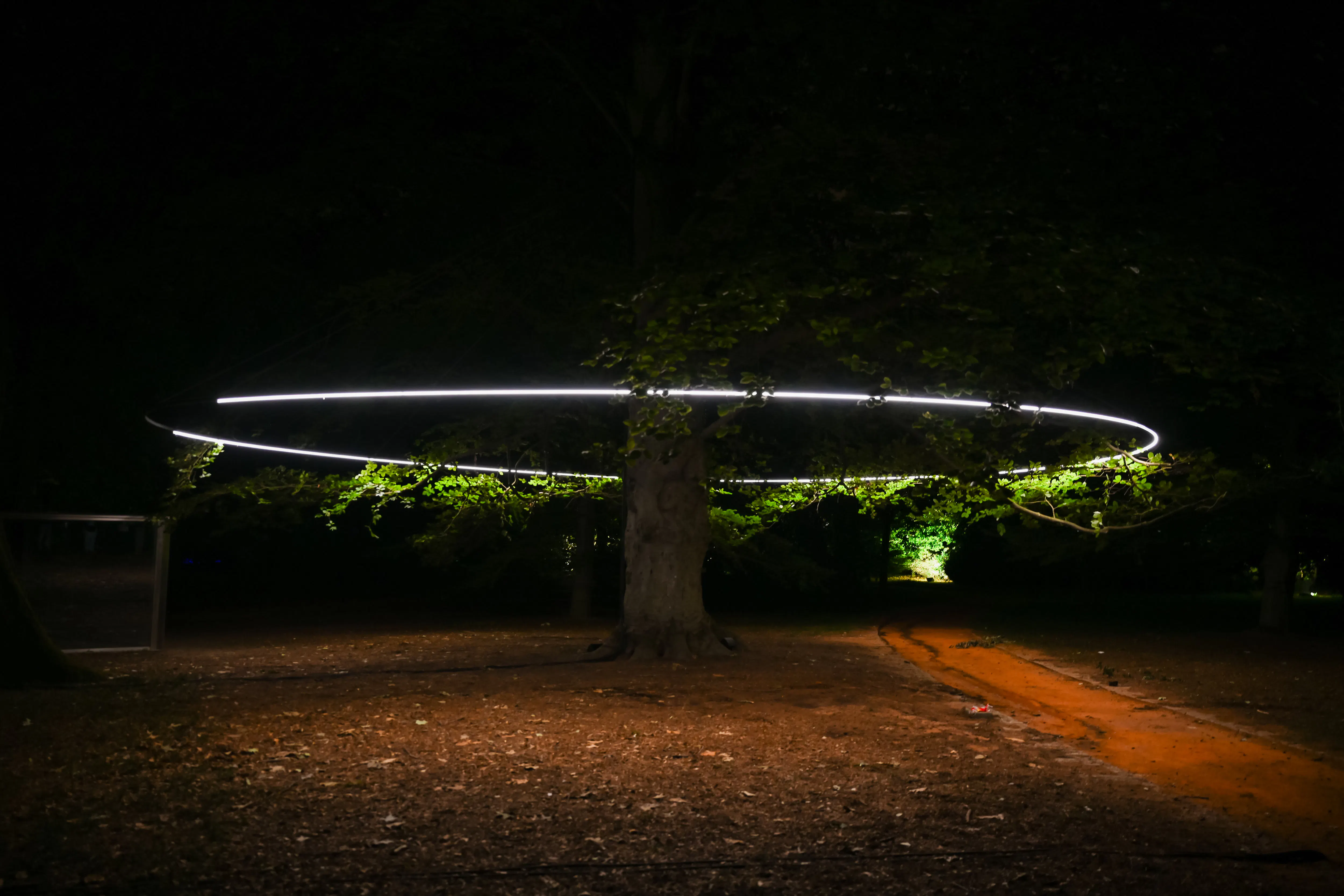 billetter til «serralves in light 2026»-18