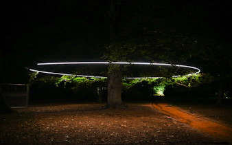 „serralves in light 2026“ – tickets-18