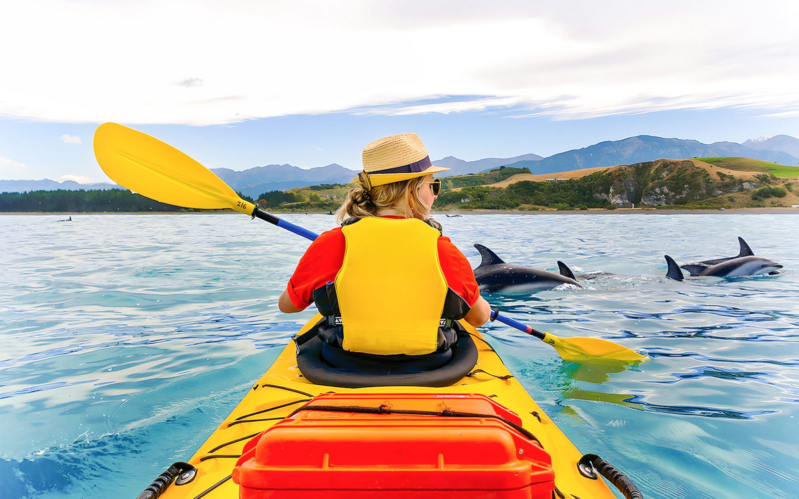 Kayaker paddling near dolphins in scenic coastal waters.