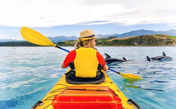 Kayaker paddling near dolphins in scenic coastal waters.