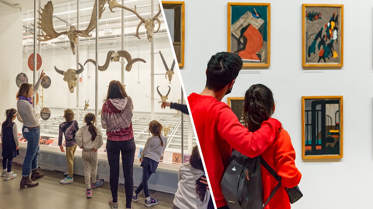 Visitors exploring exhibits at the American Museum of Natural History and MoMA in New York City.