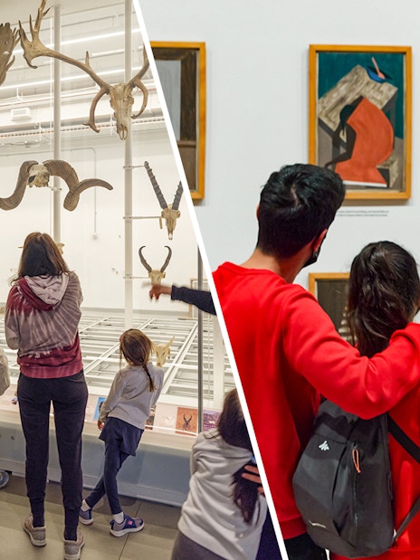 Visitors exploring exhibits at the American Museum of Natural History and MoMA in New York City.