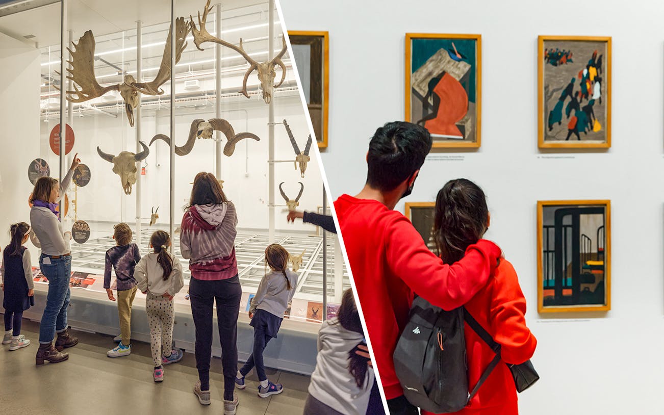 Visitors exploring exhibits at the American Museum of Natural History and MoMA in New York City.