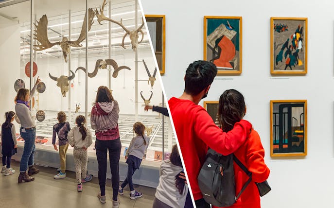 Visitors exploring exhibits at the American Museum of Natural History and MoMA in New York City.