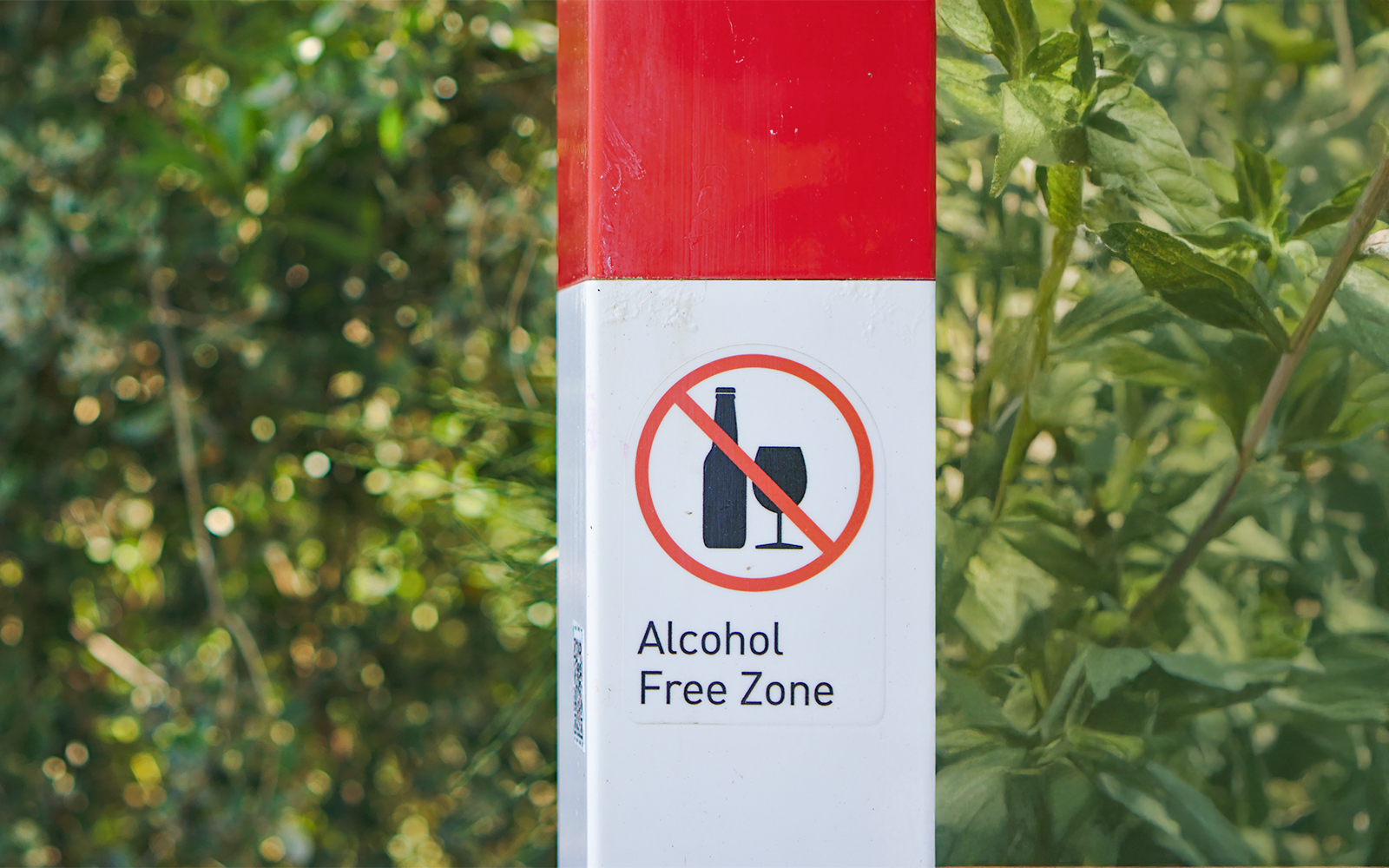 A signboard reading "Alcohol free zone" fixed onto a pole