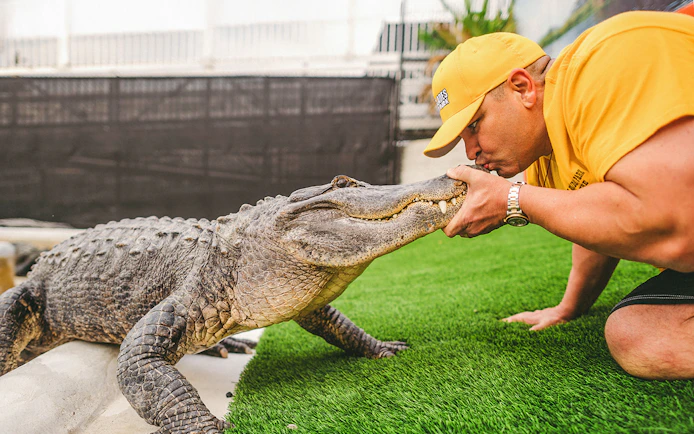 Man interacting with an alligator during Everglades airboat tour.