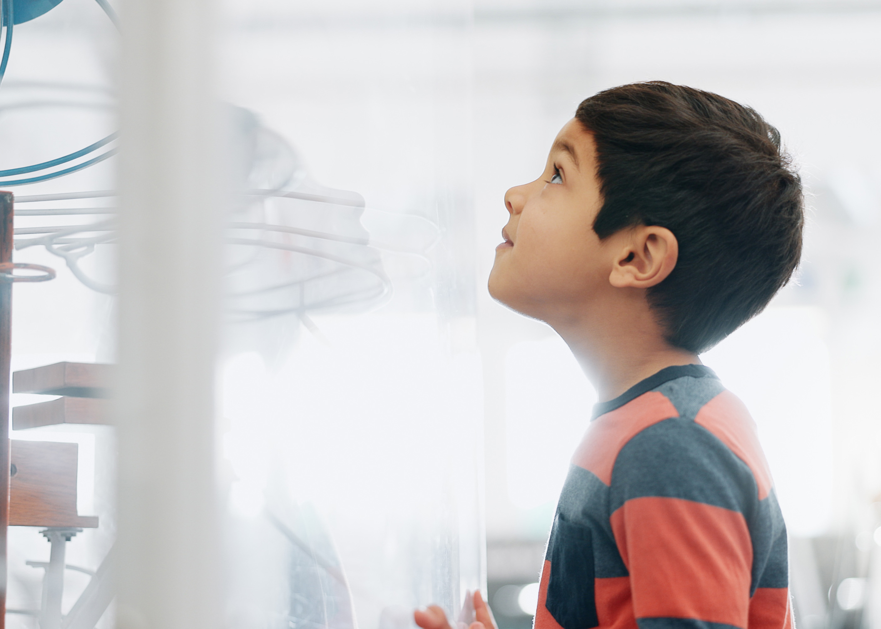 California Academy of Sciences Visitor tips