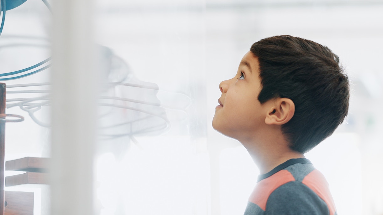 California Academy of Sciences Visitor tips