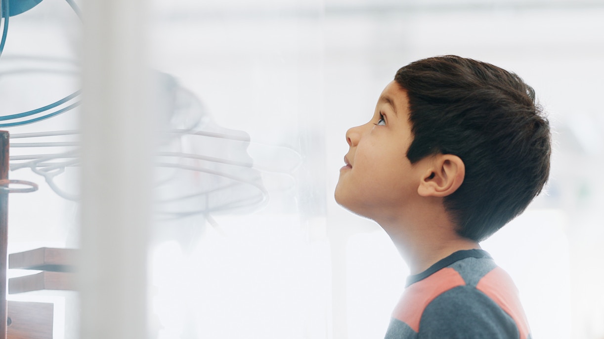 California Academy of Sciences Visitor tips