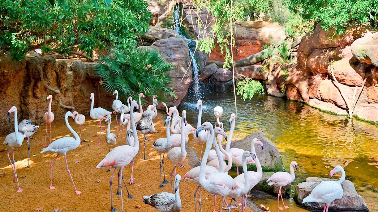 Equatorial Africa Adventure