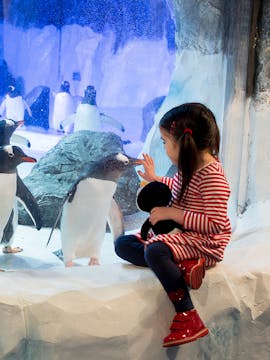Ingressos Aquário SEA LIFE Londres