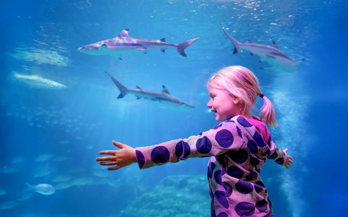Girl with arms outstretched near shark tank at Sea Life Oberhausen.