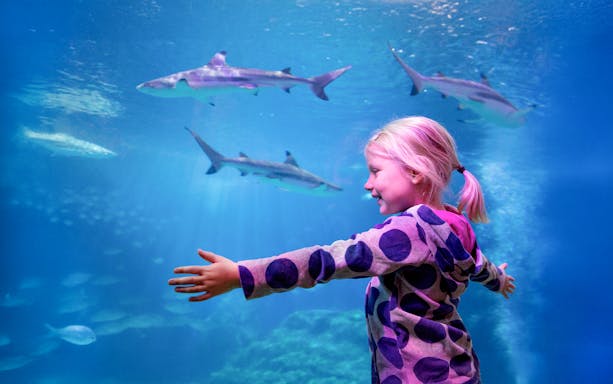 Girl with arms outstretched near shark tank at Sea Life Oberhausen.