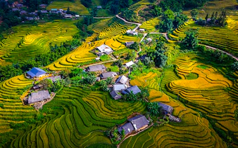 from sapa town: small-group guided trek to y linh ho, lao chai and ta van-3