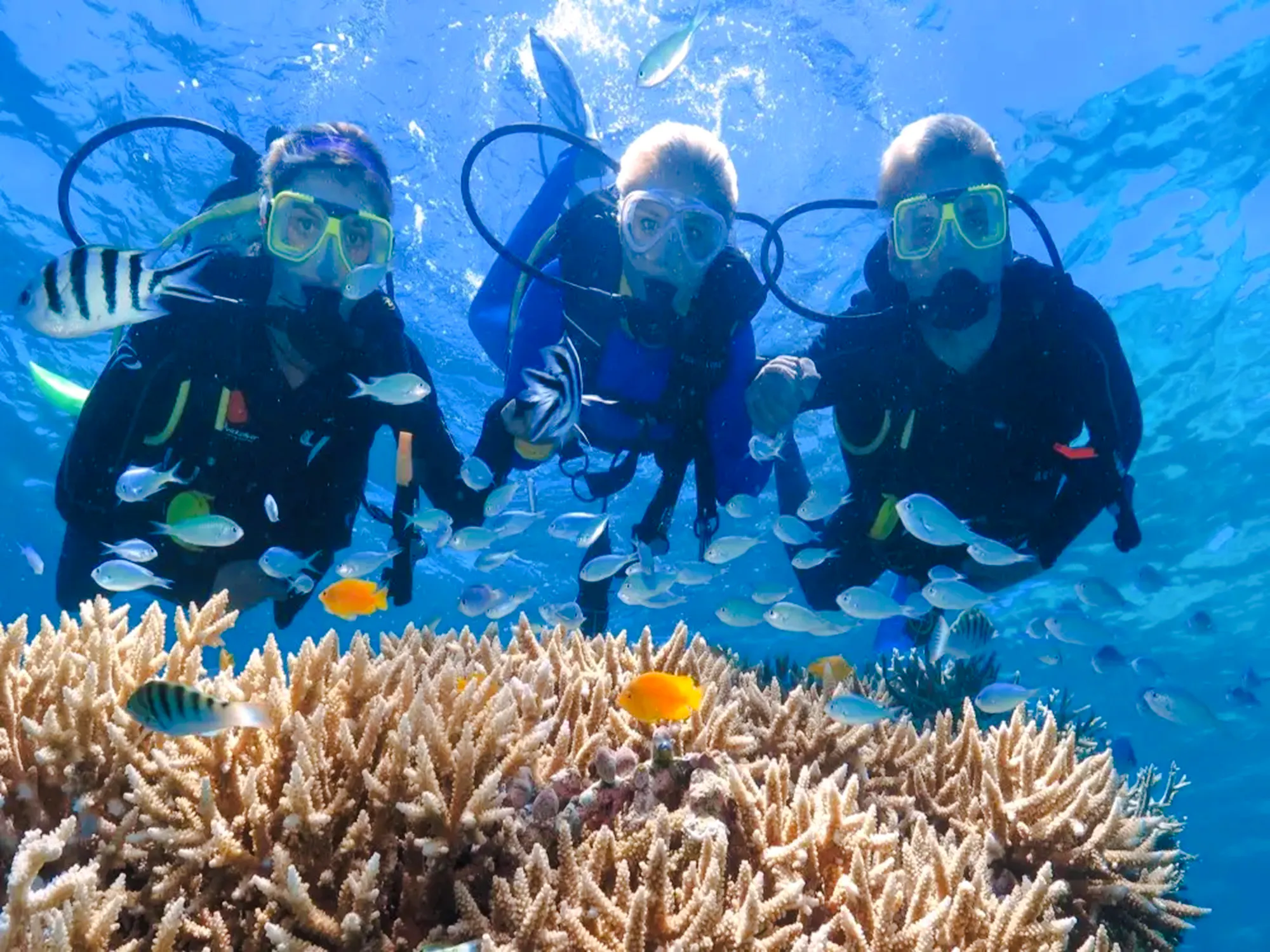 antalya 2-dive scuba boat trip with lunch and hotel transfers-1