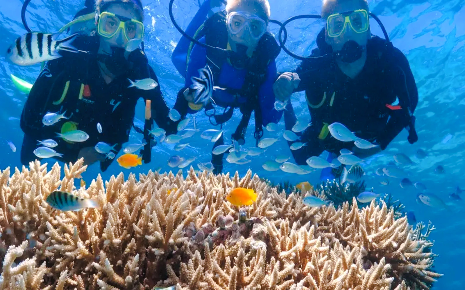 Antalya 2-Dive Scuba Boat Trip with Lunch and Hotel Transfers