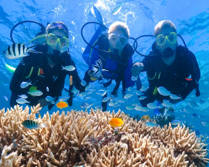 Antalya 2-Dive Scuba Boat Trip with Lunch and Hotel Transfers