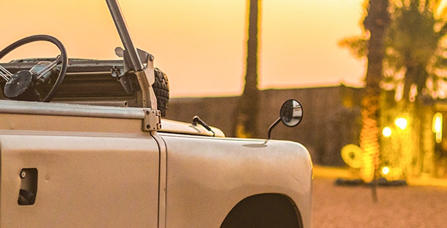 Wieczorne safari na pustyni