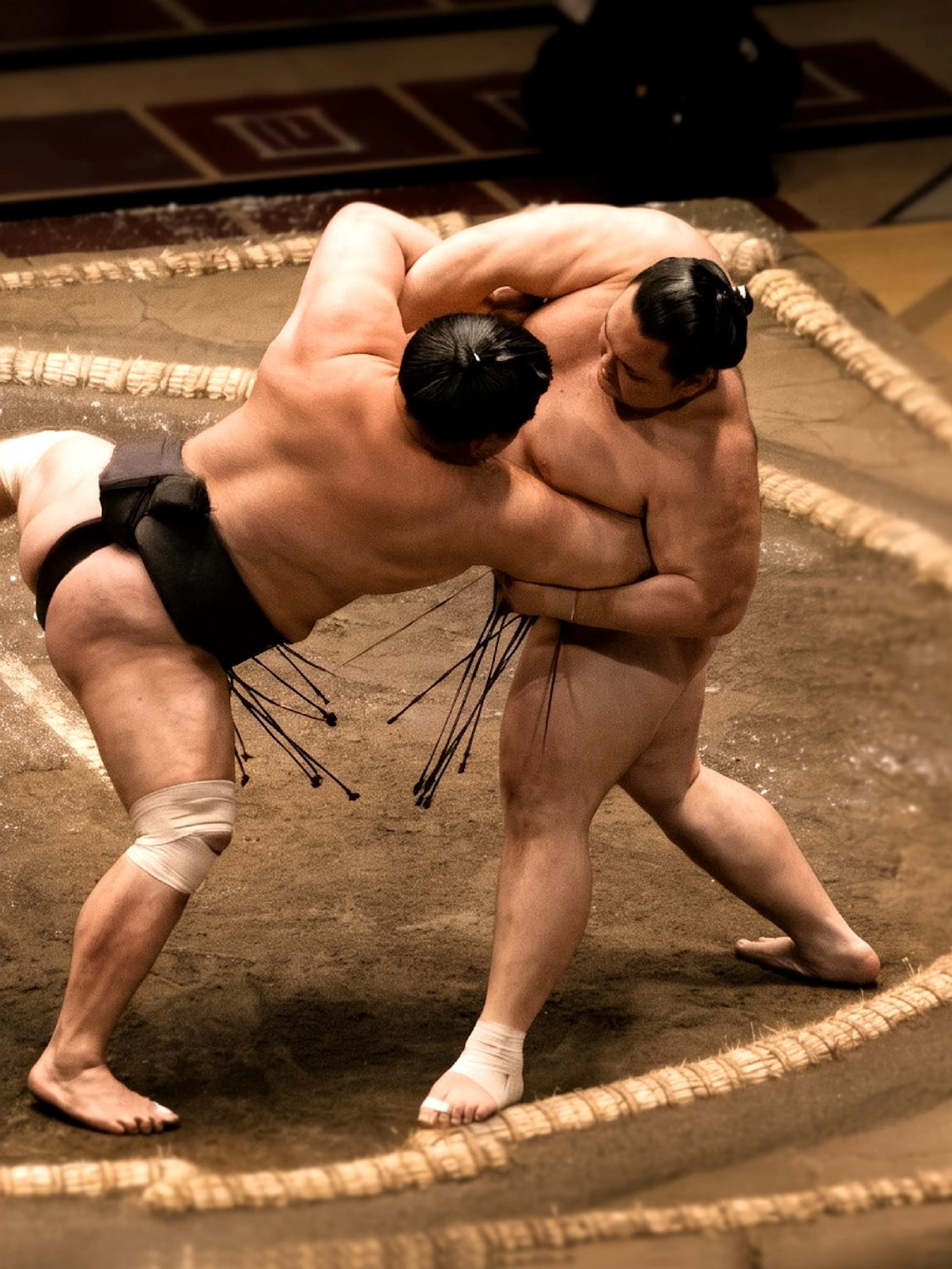 Sumo wrestlers competing in the Tokyo Grand Sumo Tournament, Sumida, Tokyo.