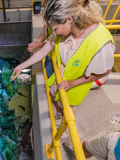 Visitor feeding fish at Cairns Aquarium marine life exhibit.