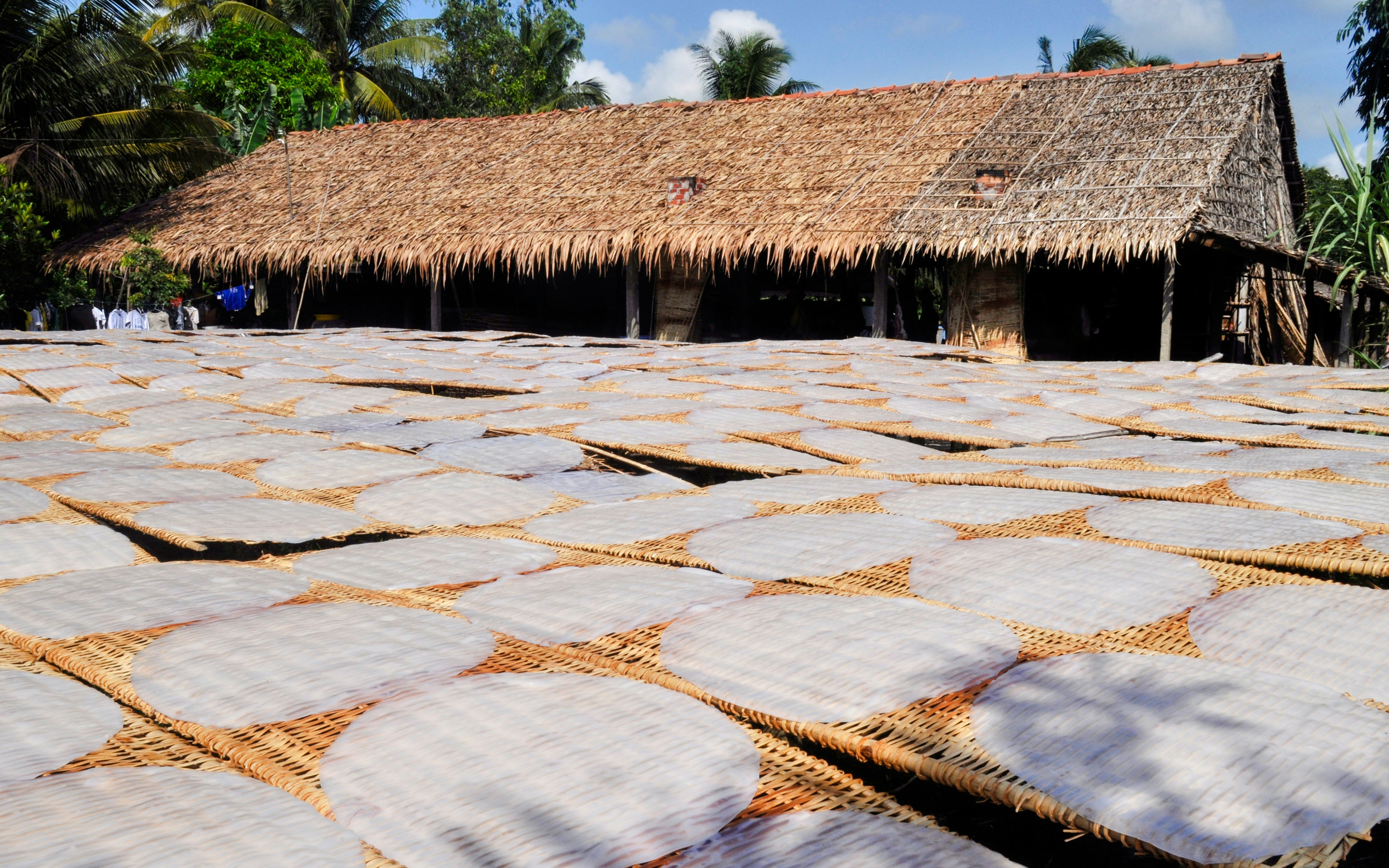 Rice paper drying on bamboo racks in a rural Vietnamese village