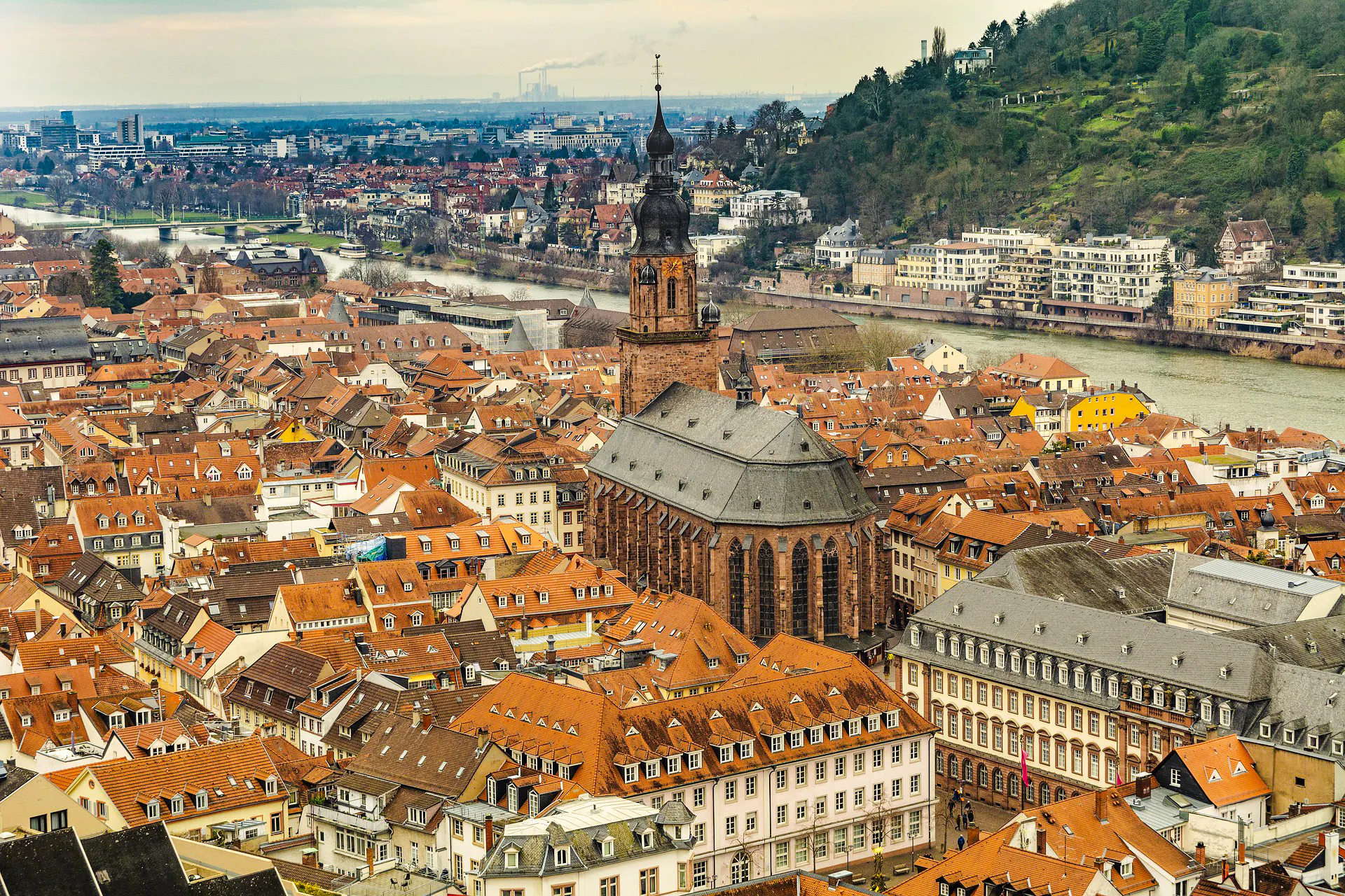 Heidelberg Old Town Private Walking Tour with Castle Entry