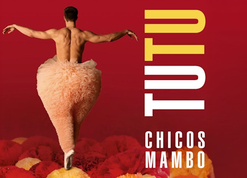 Chicos Mambo, Tutu