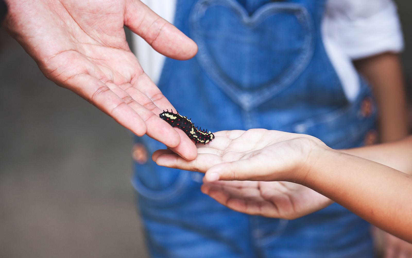 Wroclaw Zoo highlights