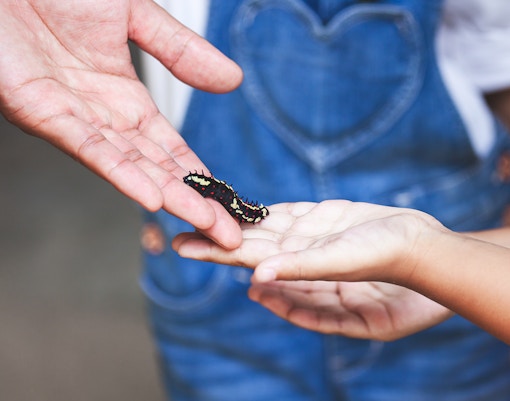 Wroclaw Zoo highlights