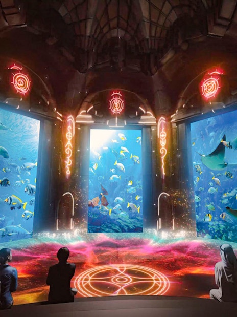 Underwater scene at The Lost World Aquarium with diverse fish and rays.