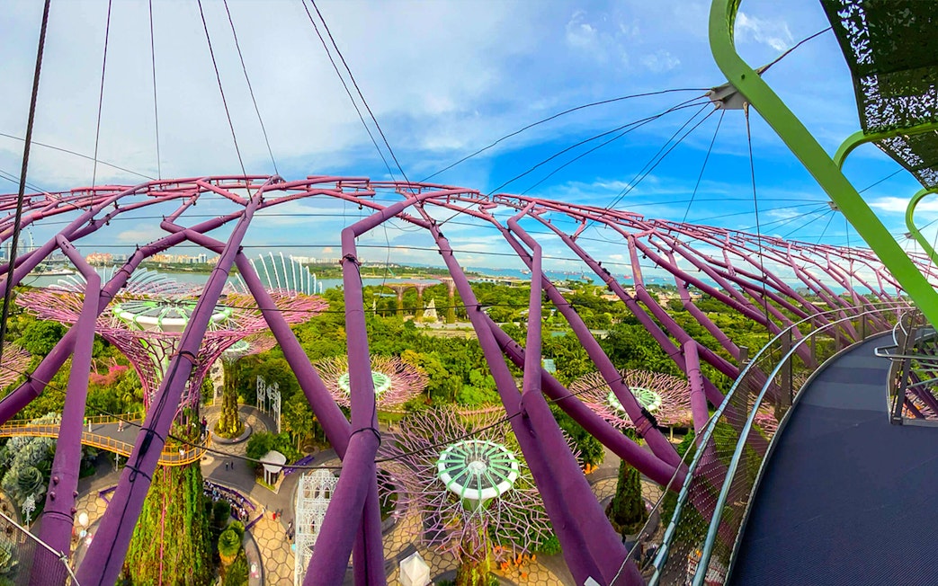 Supertree Observatory view of Gardens by the Bay, Singapore, with illuminated trees and Flower Dome.