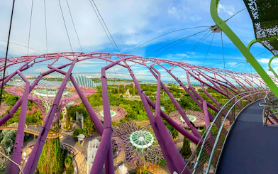 Supertree Observatory view of Gardens by the Bay, Singapore, with illuminated trees and Flower Dome.