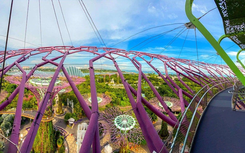 Supertree Observatory view of Gardens by the Bay, Singapore, with illuminated trees and Flower Dome.