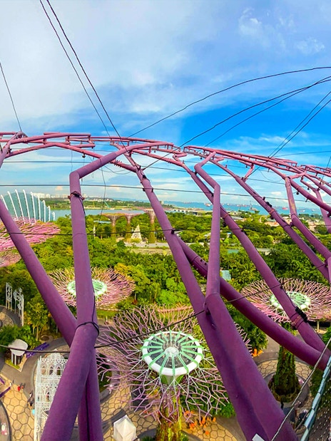 Supertree Observatory view of Gardens by the Bay, Singapore, with illuminated trees and Flower Dome.