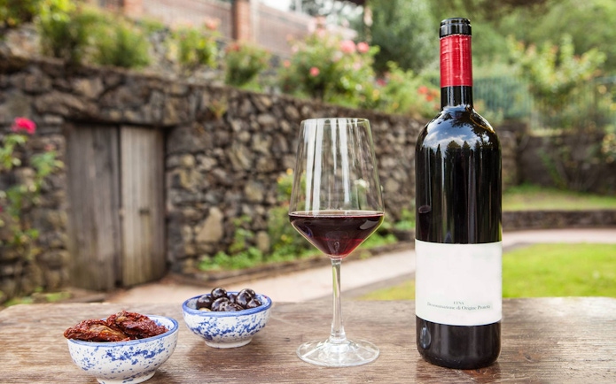Wine bottle and glass with olives and sun-dried tomatoes on a table during Etna wine tasting tour.
