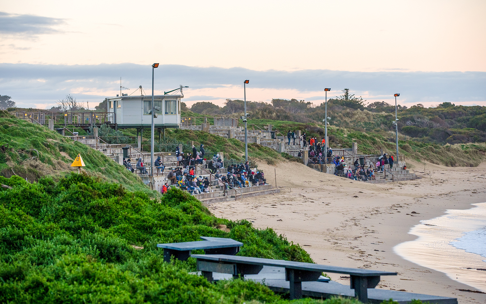 People waiting for the penguin parade on Phillip Island