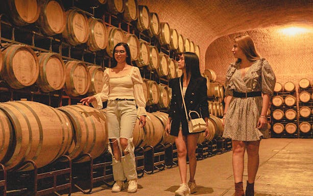 Tourists exploring a wine cellar with barrels in Queretaro during Peña de Bernal tour.