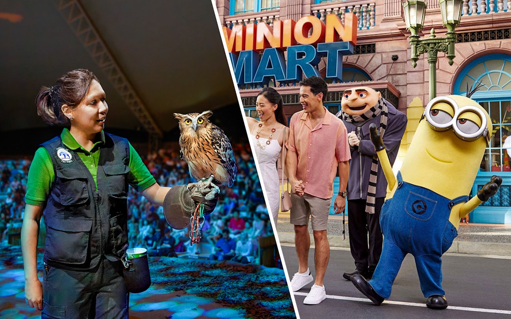 Zookeeper with owl at Night Safari and visitors with Minion character at Universal Studios Singapore.