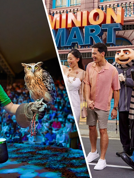 Zookeeper with owl at Night Safari and visitors with Minion character at Universal Studios Singapore.