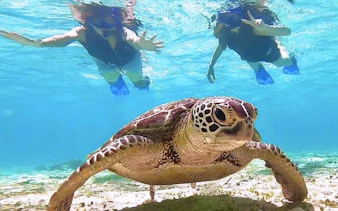 Snorkelers swimming with a sea turtle in clear waters of Miyako Island, Okinawa.