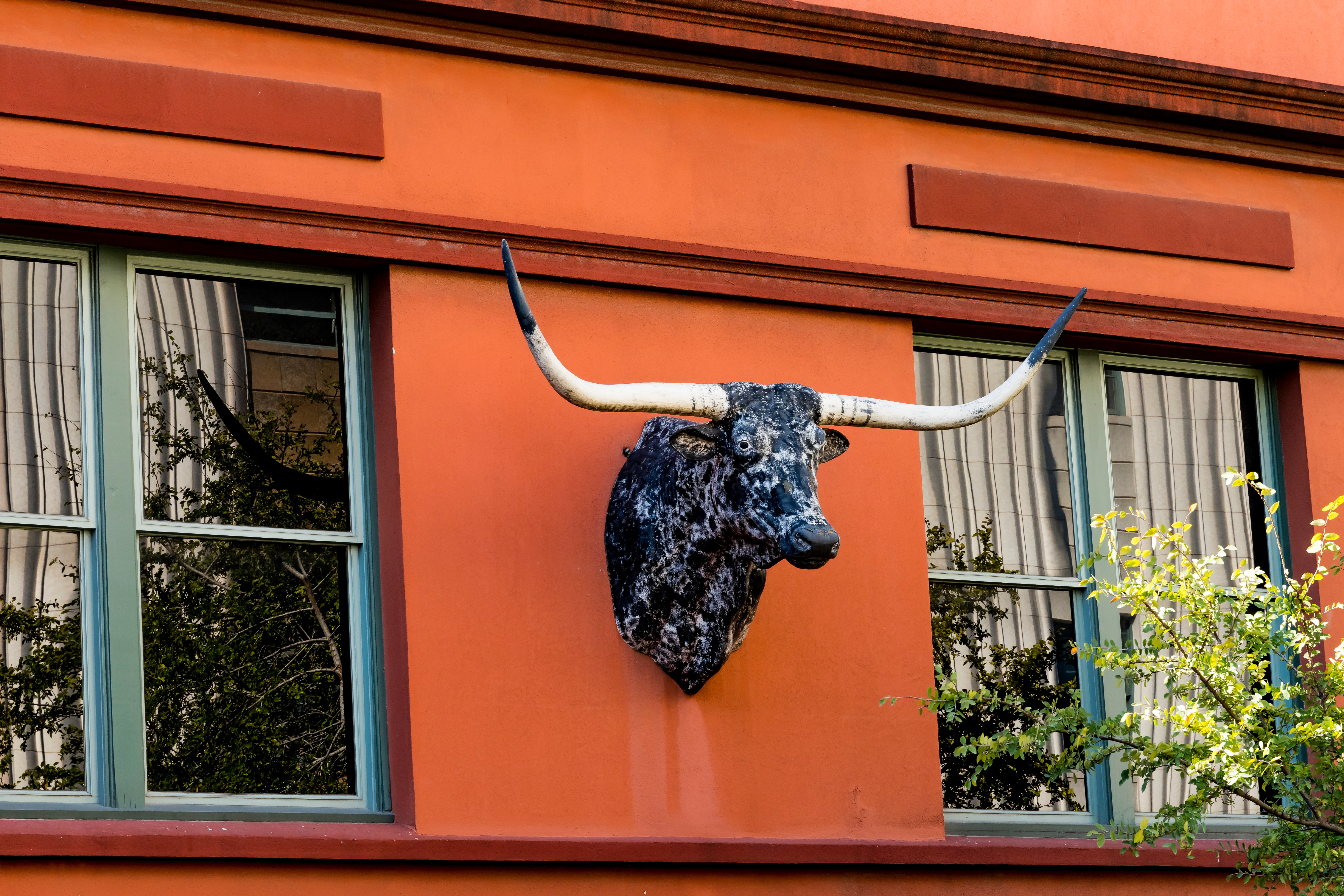 Buckhorn Saloon & Museum