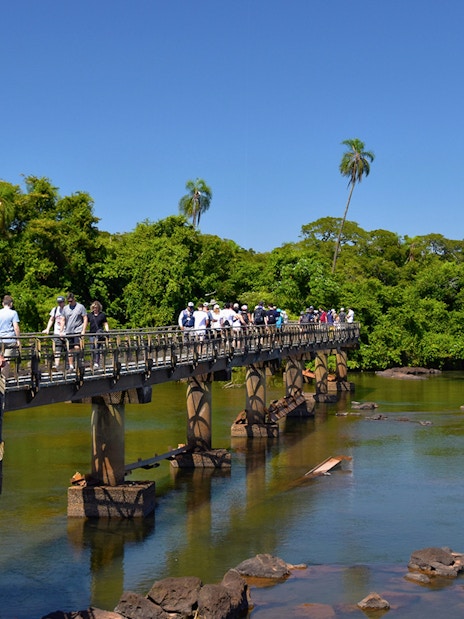 Visitors walking on a bridge towards Iguazu Falls, surrounded by lush greenery.