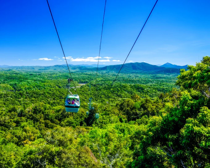 Barron Falls, Cattana Wetlands, & Skyrail Rainforest Cableway Tour