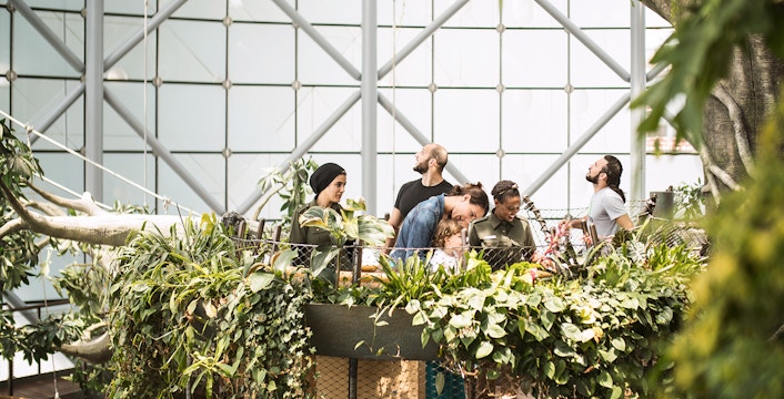 Green Planet Dubai Tickets