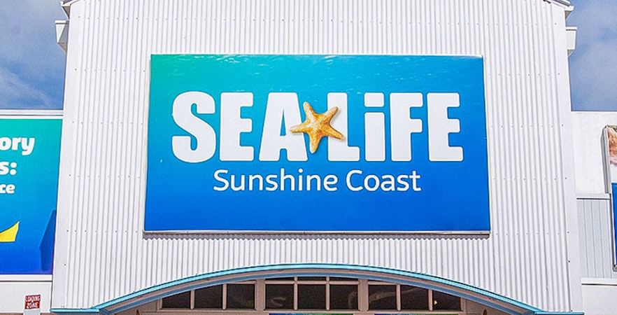 SEA LIFE Sunshine Coast