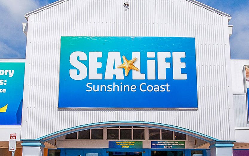 SEA LIFE Sunshine Coast entrance with visitors entering the aquarium.