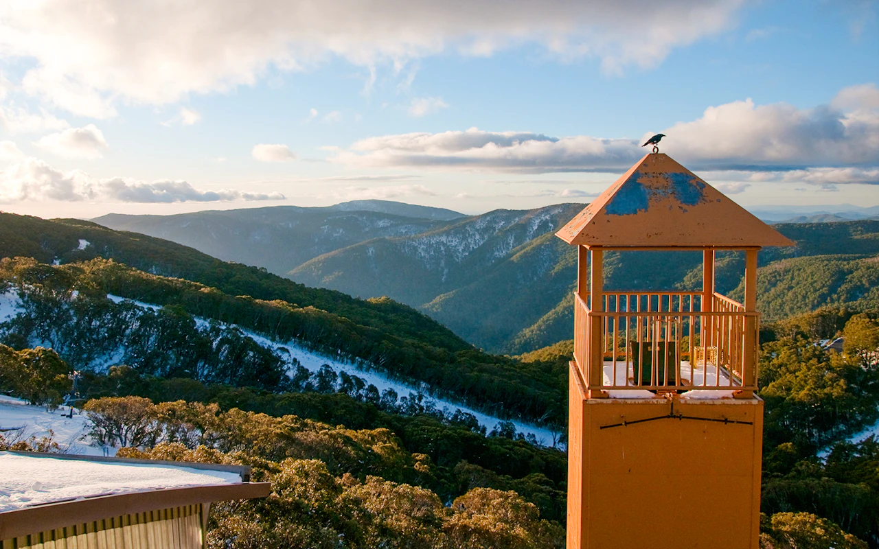 Depuis Melbourne : Visite du Mt Buller avec navettes et entrée au centre de villégiature — 9